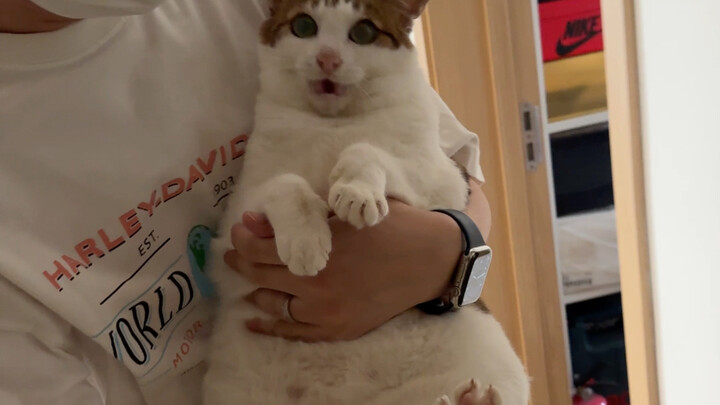 Sweetheart, Uncle is actually really afraid of medical checkups.