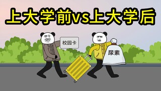上大学前的畅想vs实际上