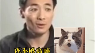 إجابة "تشو فنغ" المفاجئة تحمل نوعًا خفيفًا من الجاذبية المتناقضة التي يفهمها فقط من يدركها!