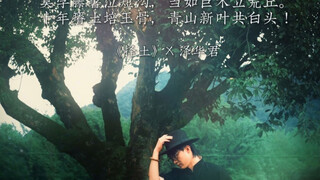 《Choosing a Land》 Go away, I want to be a tree man, a pair for life~#Choosing a partner#Ze Huajun#Pa
