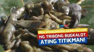 Ipinagmamalaking putahe ng tribong Bugkalot, silipin! | I Juander