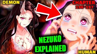 NAGING TAO NA MULI SI NEZUKO‼️Demon Slayer Season 5 SUNRISE COUNTDOWN ARC Chapter 196-197