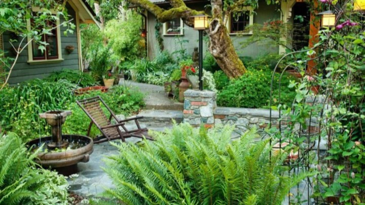 #tip Mẹo cho khu vườn