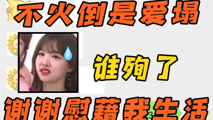 【กลุ่มกลีบดอกไม้ 7】นี่อาจเป็นครั้งแรกที่คุณได้ยินชื่อพวกเขา แต่ก็คงเป็นครั้งสุดท้ายด้วย