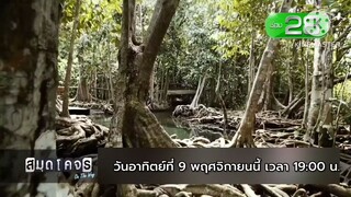 สมุดโคจร On The Way พาออกเดินทางสุดหรรษา ที่จังหวัดกระบี่ วันอาทิตย์ที่ 9 พ.ย. เวลา 19.00 น.