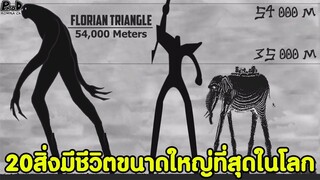 วันพีซ - 20สิ่งมีชีวิตขนาดใหญ่ที่สุดในโลก #เปรียบเทียบขนาด [KOMNA CHANNEL]