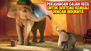 MENGHARUKAN❗ Kisah Se-ekor Anak Gajah Yang Berjuang Mencari Induknya Di Dunia Sirkus