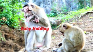 Oh Fantastic Mother! Mother Monkey Joanna Performs Very Good Caring Newborn Baby