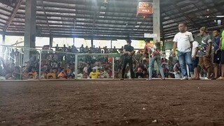 talisay ko