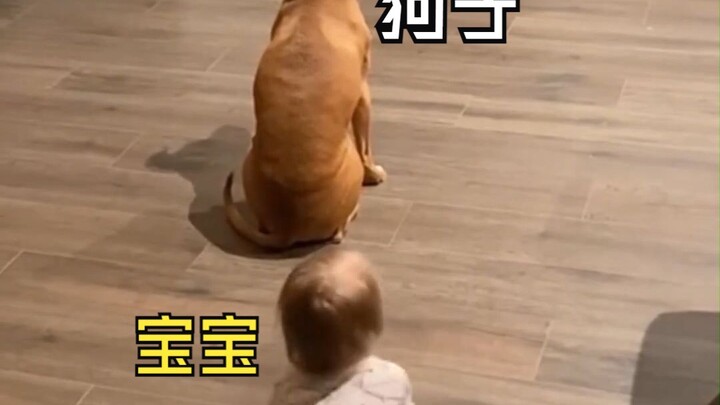 هل هذا في الأساس تدريب كلب أم تدريب طفل؟؟ 😂