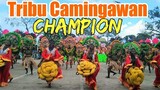 CHAMPION- Sinulog de Kabankalan 2020 | Brgy. Camingawan