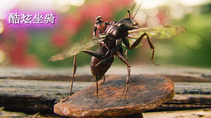 Who could say no to an army of ants that’s always ready on call?