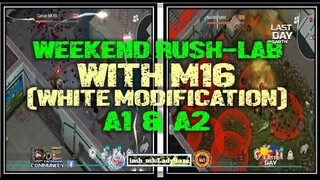 "WEEKEND RUSH EVENT"  Laboratory (A1 & A2)  w/ M16 (all white modification)  - LDOE: Survival