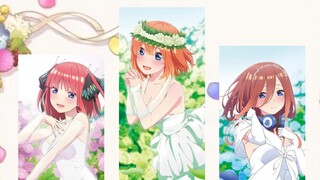 The path we spent together [MAD/The Quintessential Quintuplets/The Quintessential Quintuplets]