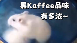 只 要 是 德 语 就 画 风 突 变