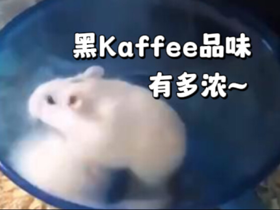 只 要 是 德 语 就 画 风 突 变