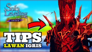 TiPS MELAWAN iGRiS - SOLO LEVELiNG ARiSE