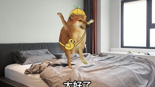 偷玩手机最害怕的事情！