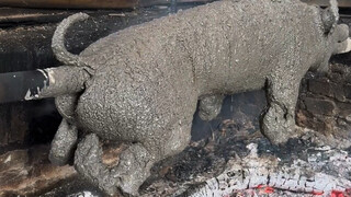 Have you ever seen "cement roasted pig"? Wild food in southwest Yunnan