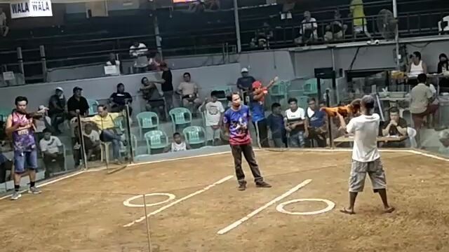 slofar gold 1st fight 7/24/24