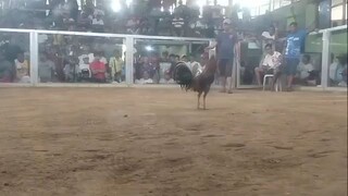 win