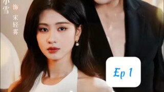 Ngoại Lệ Thiên Vị ( Vương Nam , Chu Tiểu Tuyết ) Tập 1