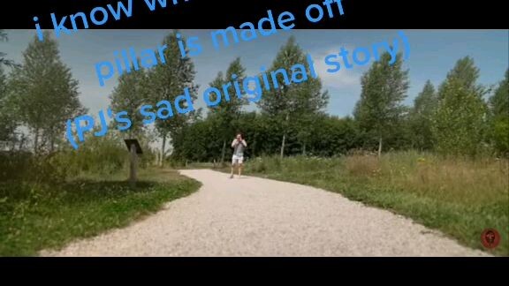 pg pug a pillar story so sad (tiktok)