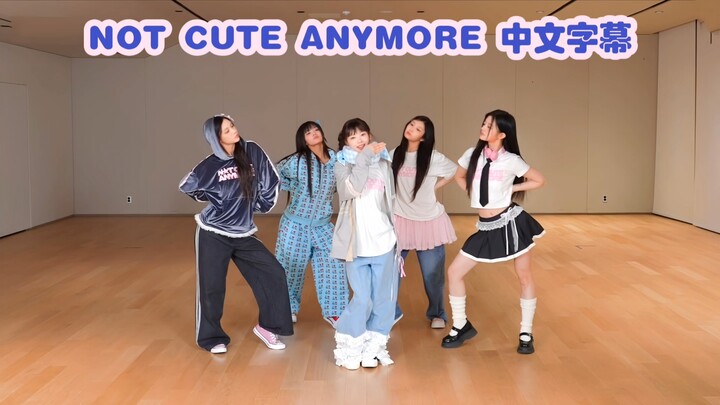 【4K Subtitles】No Matter How You Look at Them, They’re Just Too Cute! 😊 [ILLIT] “NOT CUTE ANYMORE” Da