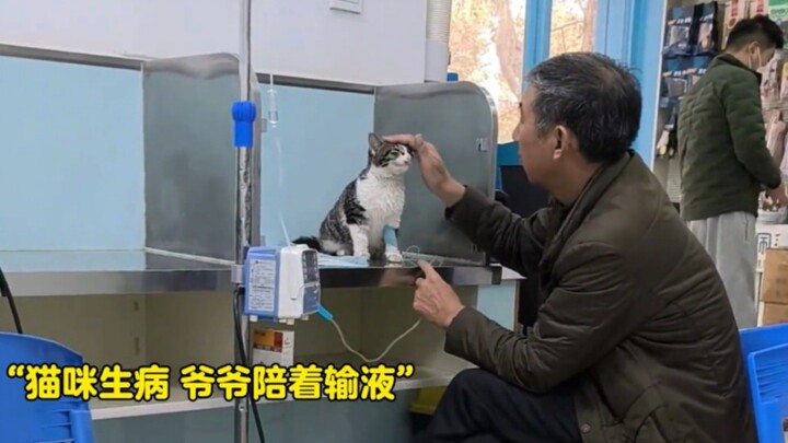 “Bagi para lansia, anak kucing adalah teman setia; bukan sekadar hewan peliharaan, melainkan juga an