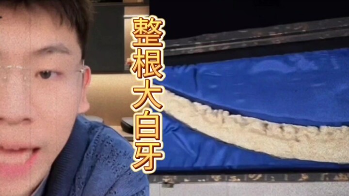 โทษนะ ดูซิฟันขาวไหม