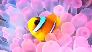 大海