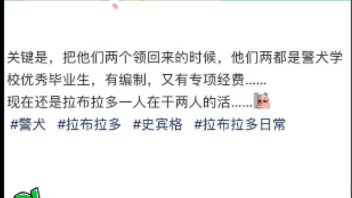 Spaniel: Finally got a permanent position! Watch me slack off hard. Labrador: You're so high and mig