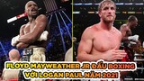HOT Floyd Mayweather Jr đấu Boxing với Logan Paul năm 2021 || Võ thuật