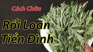 Chữa dứt điểm rối loạn tiền đình tại nhà bằng 1 nắm rau ngải cứu không phải ai cũng biết