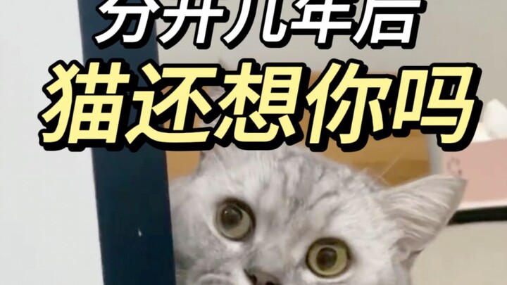 The research findings were unexpected.