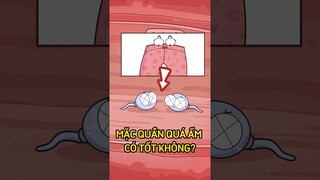 Mặc quần quá ấm có tốt không? #shorts #trithucplus #trithuc
