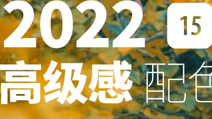 Giặt lâu dài | Bộ sưu tập phối màu thu của Morandi | Tạp chí phối màu cao cấp số 15