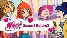 Winx Club - Sezon 1 Bölüm 2 - Magix'e Hoşgeldiniz