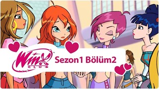 Winx Club - Sezon 1 Bölüm 2 - Magix'e Hoşgeliniz!
