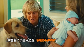 “狗狗其实很简单，只要你把心交给它，它就会把自己交给你” #电影剪辑  #忠犬
