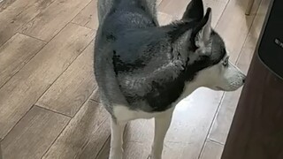 Lebih lambat dari komputer di kantor saya.