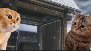 Gintama ski tapi meme kucing