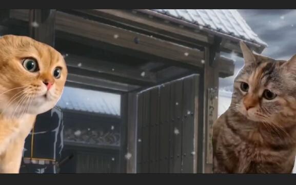 Gintama skiing cat meme