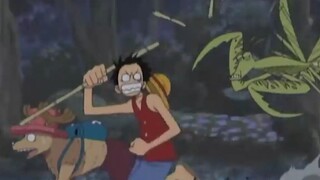 Bọ ngựa Floretino - Hài One Piece P4