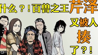 源治完胜，芹泽被打，凤仙撕毁休战协定
