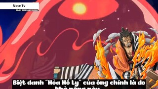 Top 8 Người Vô Tình _Ăn_ Trái Ác Quỷ trong One Piece #18- 6