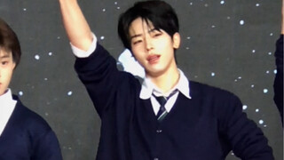Illit, chú mèo đực nhỏ mà tôi mượn ở đâu đó - "Do the Dance" (Mèo mượn)