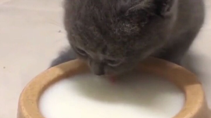 I don’t want to know how I came to be.