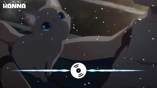 Ái Nộ Remix