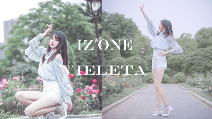 【萦夜】—Violeta—IZ*ONE  请让我看见你